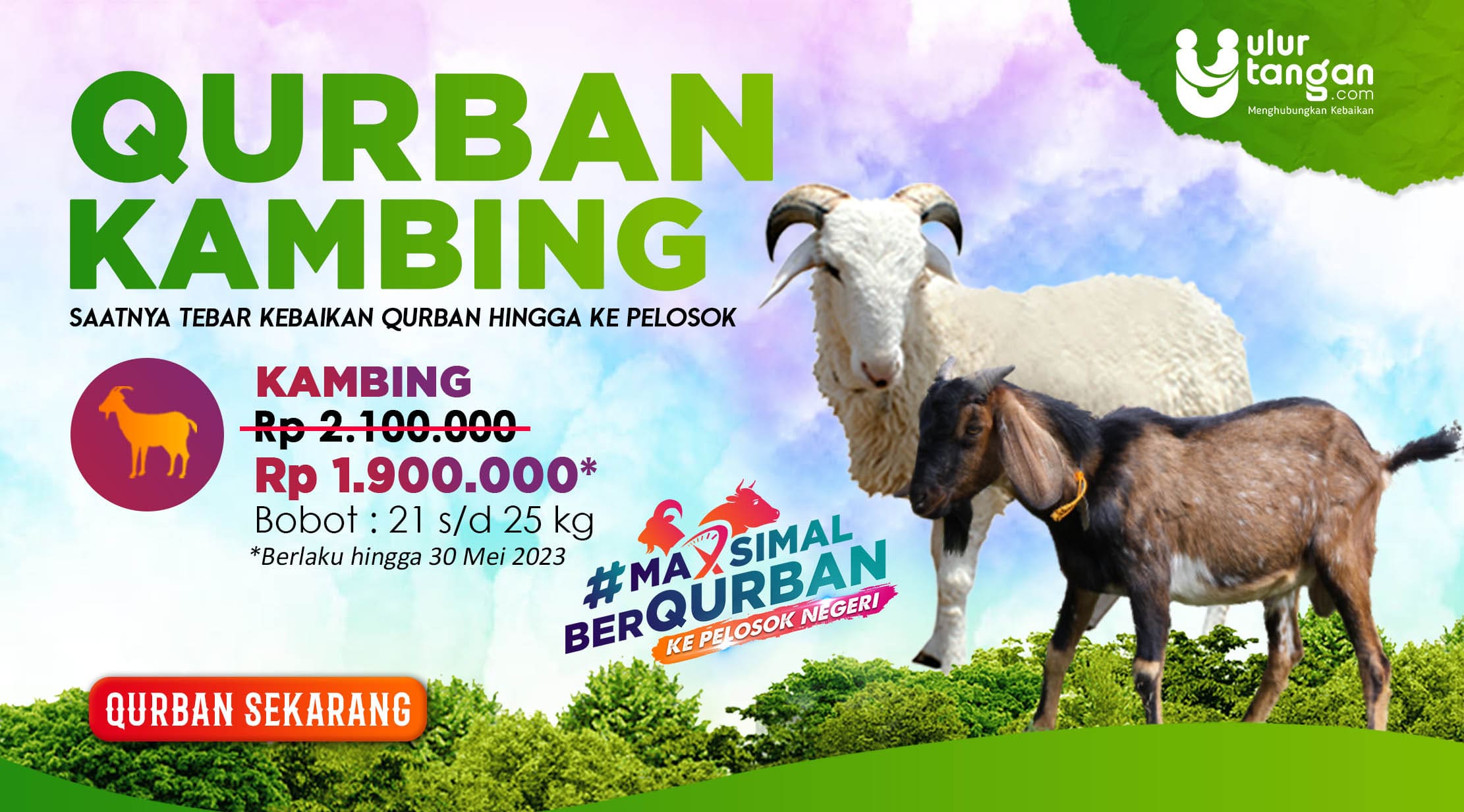 Maksimal Berqurban Ke Pelosok Negeri | Ulur Tangan