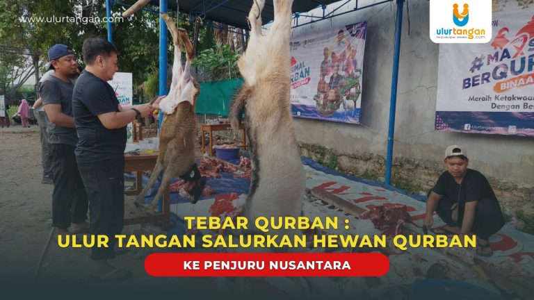 Tebar Qurban : Ulur Tangan Salurkan Hewan Qurban ke Penjuru Nusantara