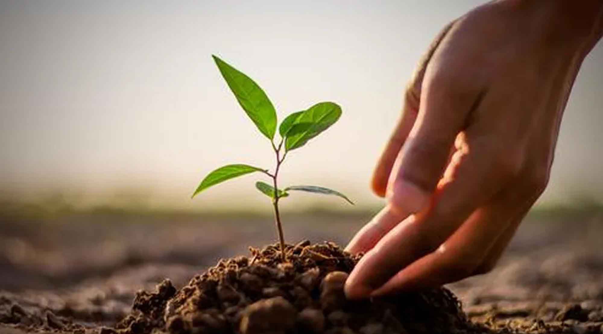 Jangan Tertipu dengan Merasa Banyaknya Amalan Kebaikan