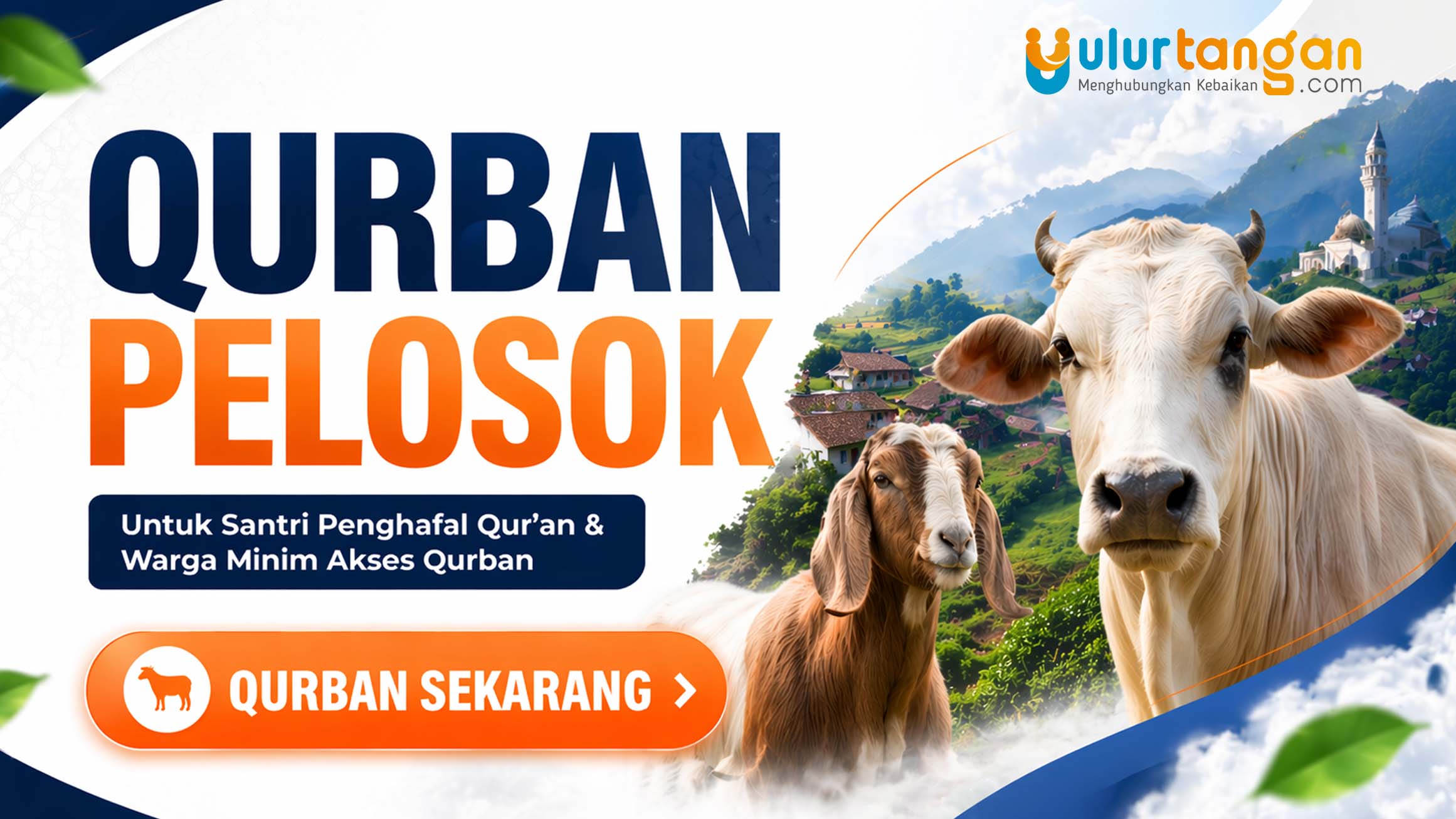Qurban Pelosok Untuk Santri Penghafal Qur’an & Warga Minim Akses Qurban